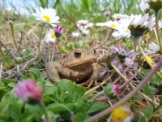 &copy; Landratsamt HN