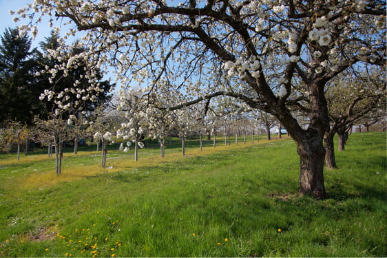 &copy; Gemeinde Zaberfeld