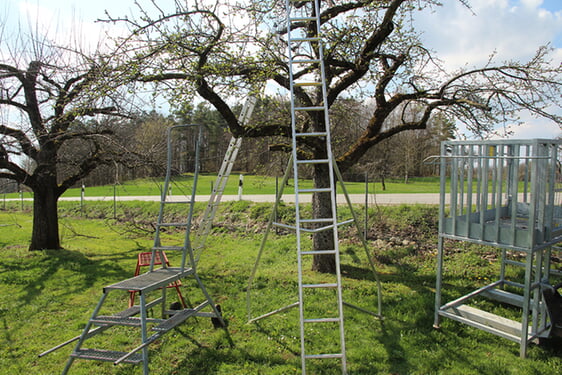 Sichere Leitersysteme f&uuml;r die Obsternte. Foto: SVLFG