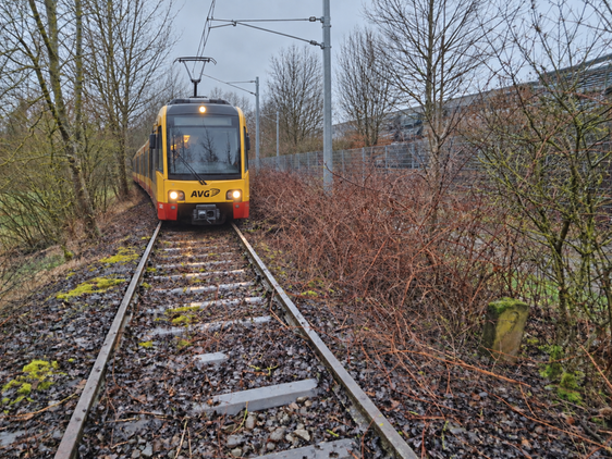 Schön wird es werden