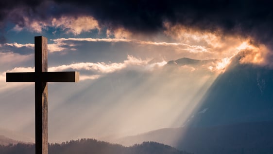 © Foto - Shutterstock, a. m. dan, 795783580
