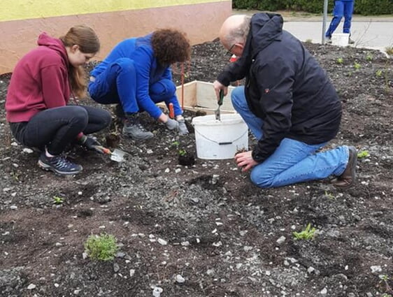 Bei der Pflanzaktion am Zaberfelder Beet mit Frau Bürgermeisterin Diana Danner und Herrn Bernd Koch vom Naturparkzentrum