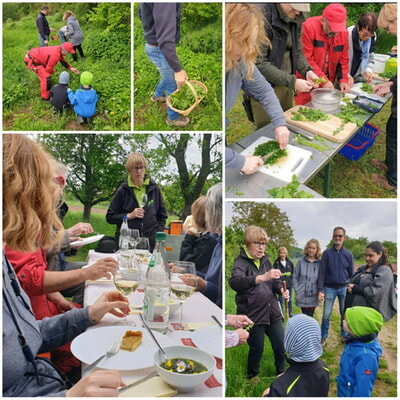 Kräuterwanderung  