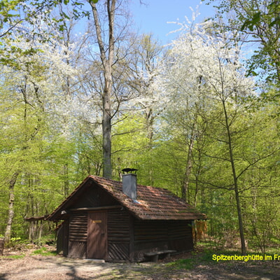 Naturkundliche Maiwanderung 