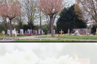 Neue Regeln und Gebühren für Friedhof 