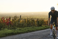Der Wein- und Wallfahrtsort Malsch tritt dem Kraichgau-Stromberg Tourismus e.V. bei – Einstimmiger Gemeinderatsbeschluss stärkt regionale Tourismusentwicklung