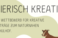 Tierisch kreativ - Ein Wettbewerb für kreative Beiträge zum naturnahern Schulhof