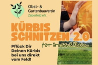 Vorankündigung OGV Kürbis schnitzen 2.0
