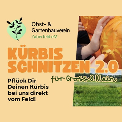 OGV Kürbis schnitzen 2.0 