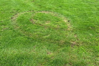 Vandalismus am Trainingsplatz in Zaberfeld