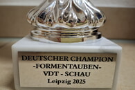 Herausragende Leistung!