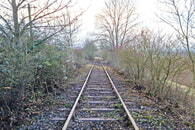 Freischneideaktion, die Bahnstrecke wird sichtbar