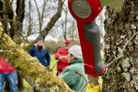 OGV Obstbaumschnittkurs