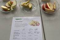 &bdquo;Schnupperstunden&ldquo; Wahlpflichtfach