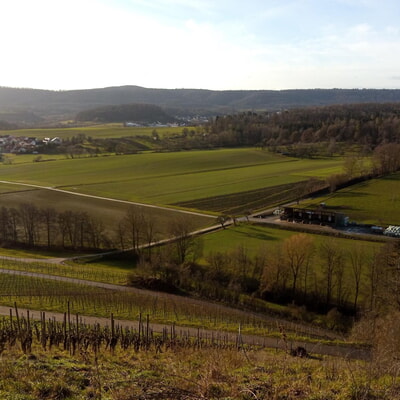 &Ouml;ffentliche Veranstaltung zum Biotopverbund Oberes Zaberg&auml;u 