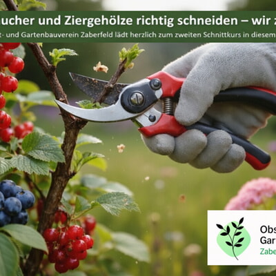 OGV Schnittkurs Beerenstr&auml;ucher und Ziergeh&ouml;lze 
