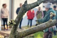 R&uuml;ckblick Schnittkurs 