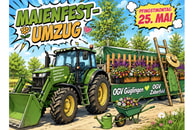 G&uuml;glinger Maienfest-Umzug 