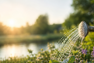 Wasser bewusst nutzen &ndash; gemeinsam Verantwortung &uuml;bernehmen