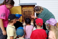 Die Eichh&ouml;rnchenkinder entdecken die Welt der Bienen