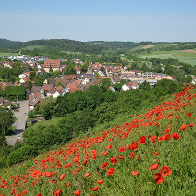 H&uuml;ttentreff/Stammtisch 