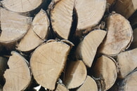 Brennholzbestellung über Online-Portal „Holzfinder“