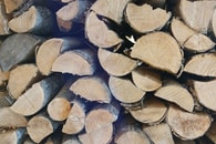 Brennholzbestellungen im Forstrevier Zabergäu