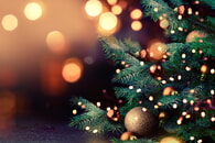 Weihnachtsgrüße und Jahresrückblick